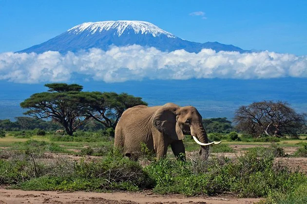 Mount Kilimanjaro rising above the Tanzanian plains